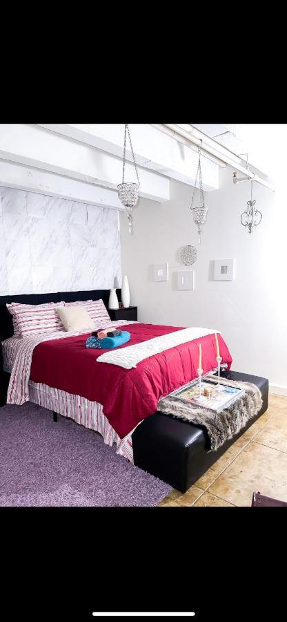 Modern Elite Open Style Loft With Rooftop Pool & Jacuzzi 로스앤젤레스 외부 사진